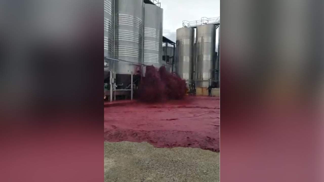 50.000 de litri de vin cramă spania