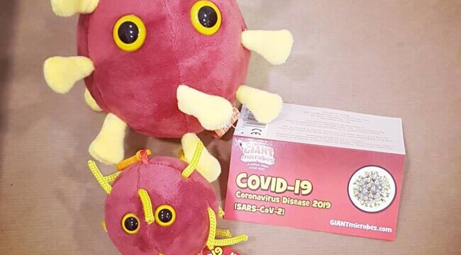 coronavirus plus