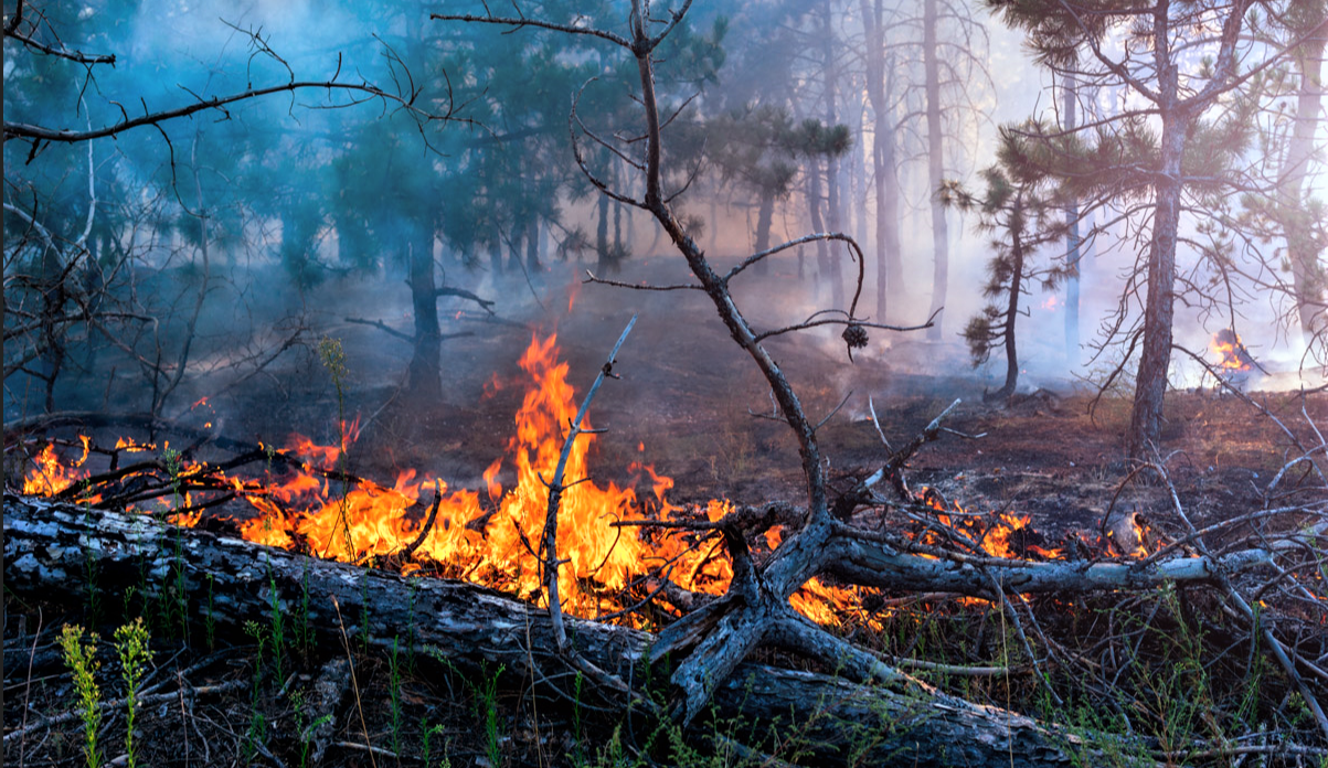 incendii spania2