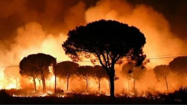 incendiu catalonia