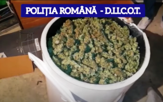 droguri spania