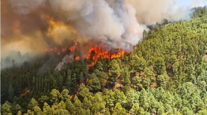 incendiul din tenerife