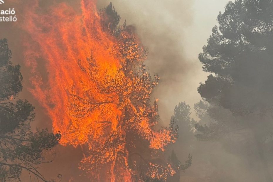 Incendiu devastator în Spania