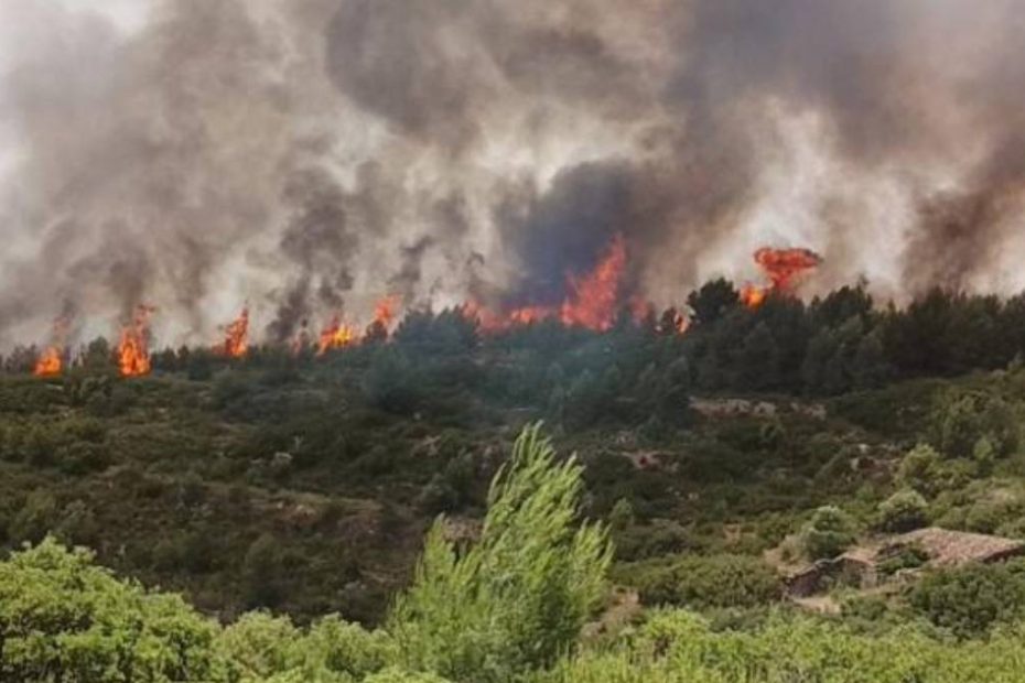Spania, primul incendiu mare al anului