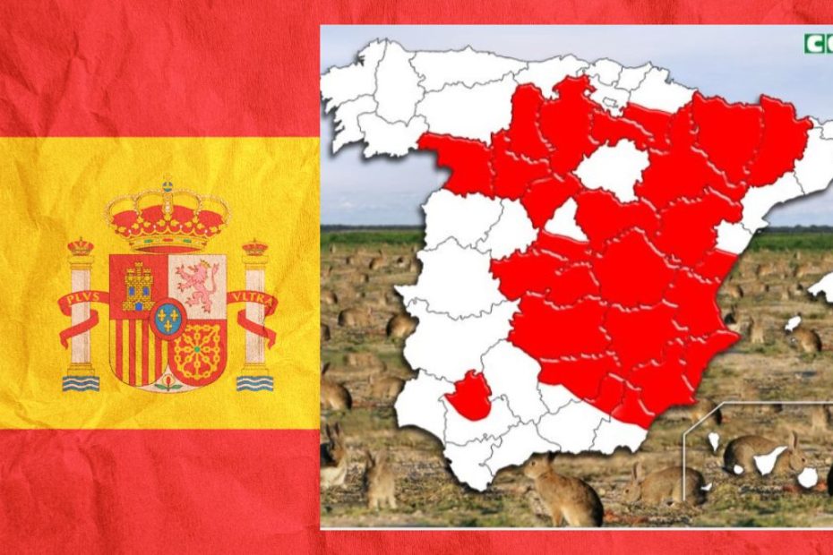 Un nou animal amenință agricultura spaniolă