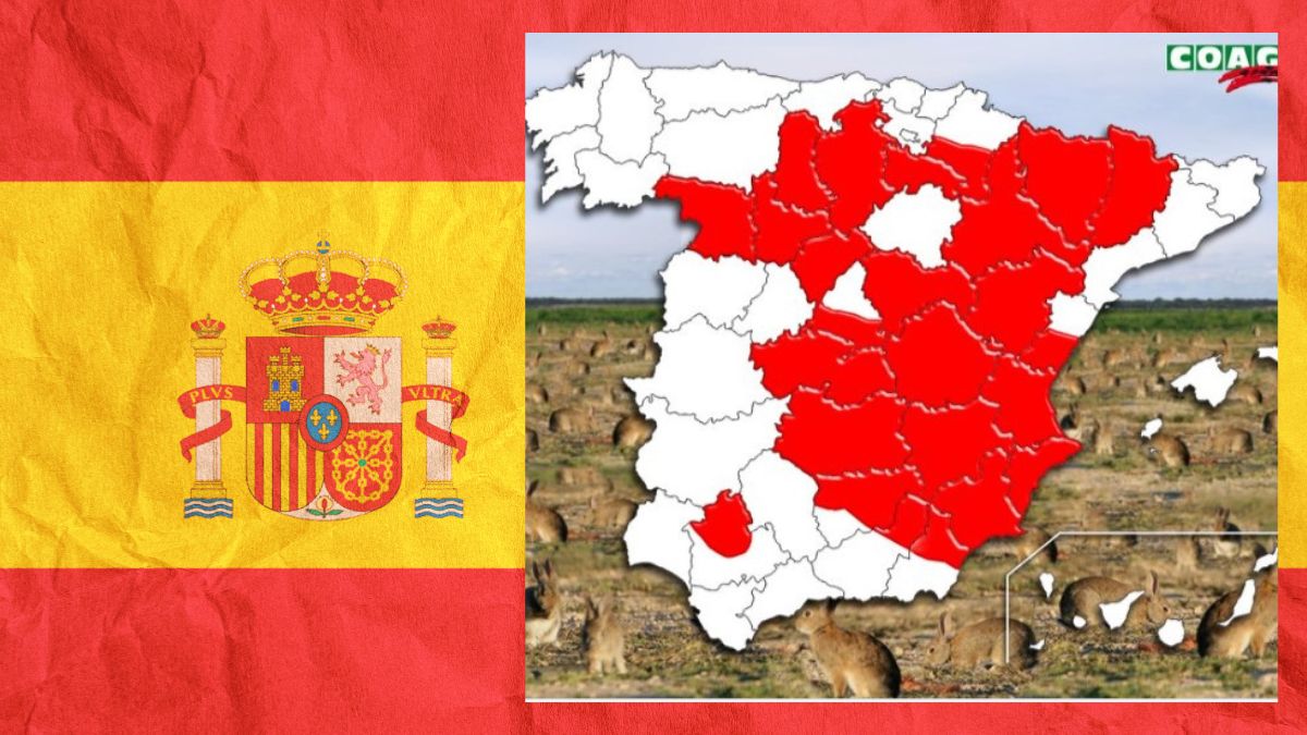Un nou animal amenință agricultura spaniolă