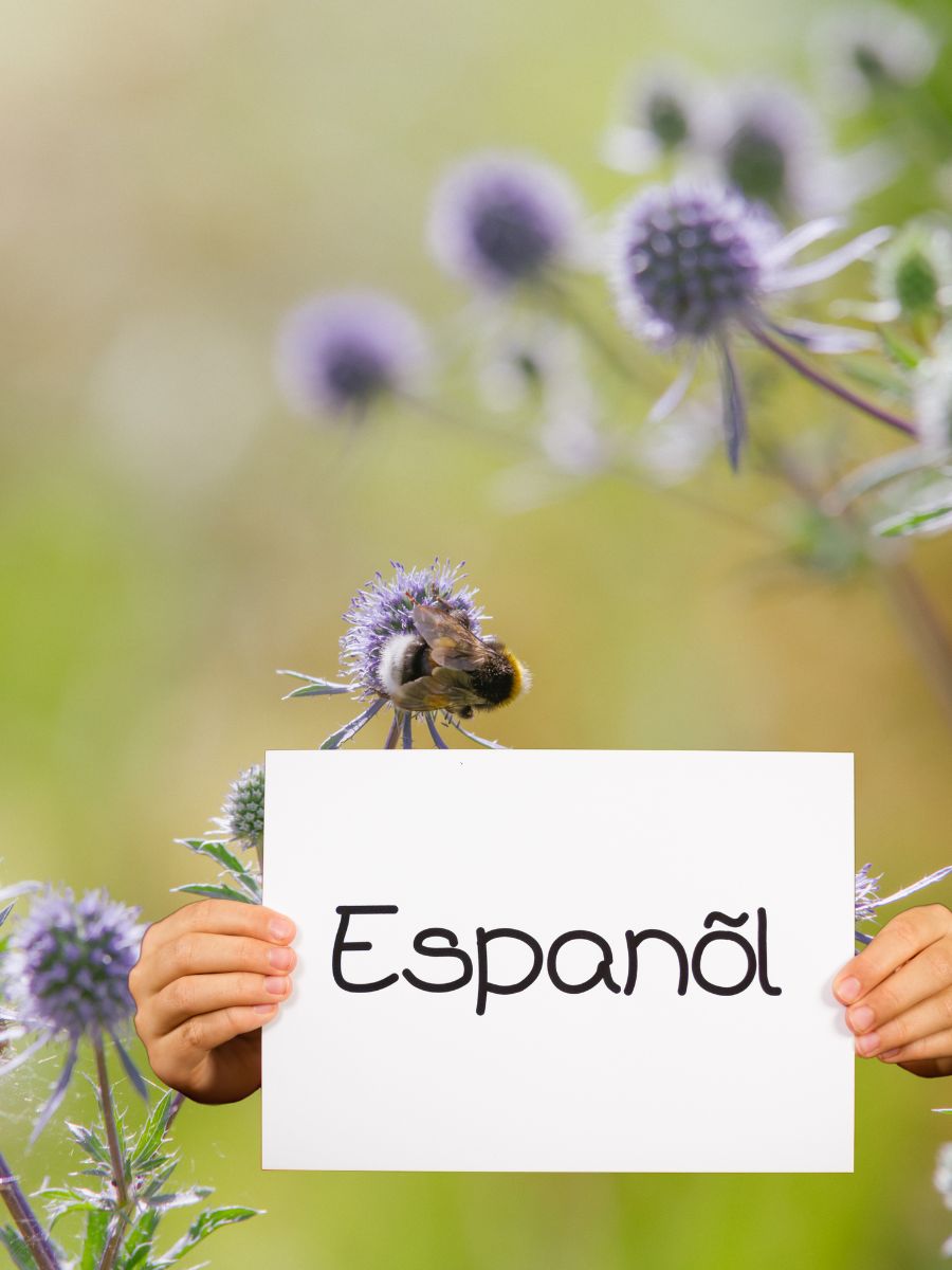adverbe spaniola
