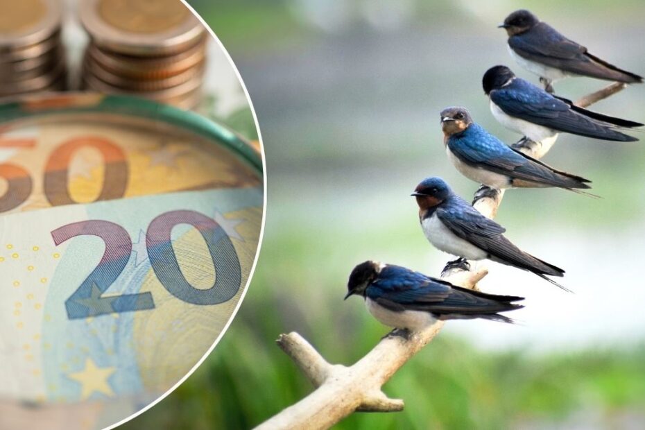 Noul design al bancnotelor euro