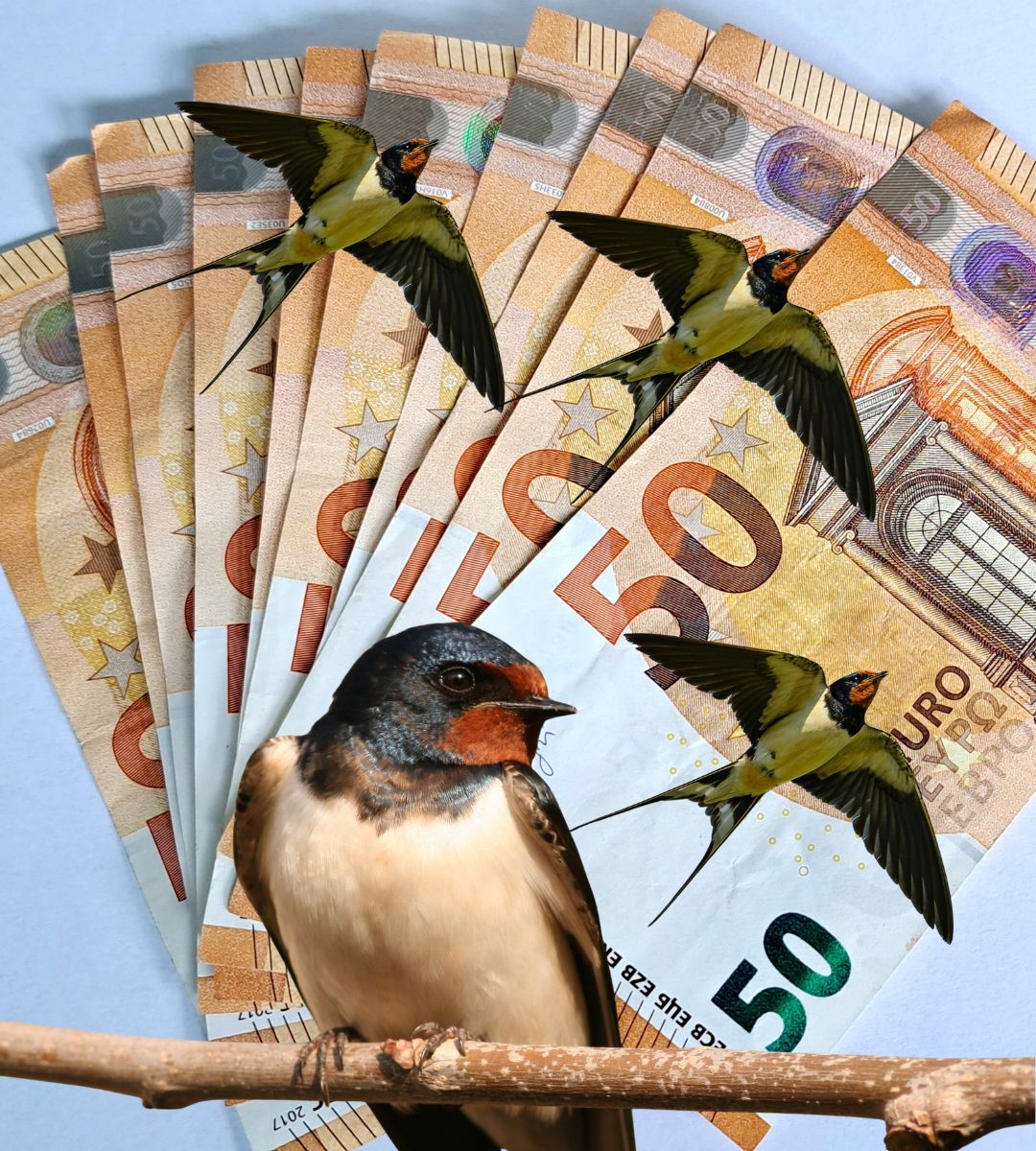 noul design al bancnotelor euro (2)