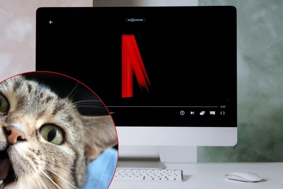 De la 1 septembrie 2025 ceva dispare de pe Netflix