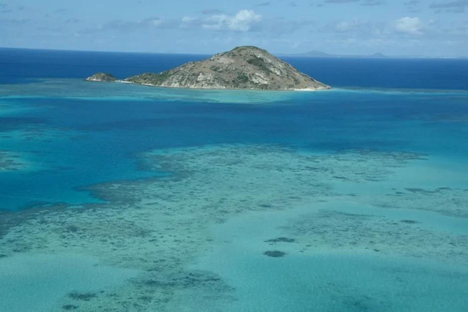 Tragedie în timpul croazierei. Nava a plecat fără pasageră