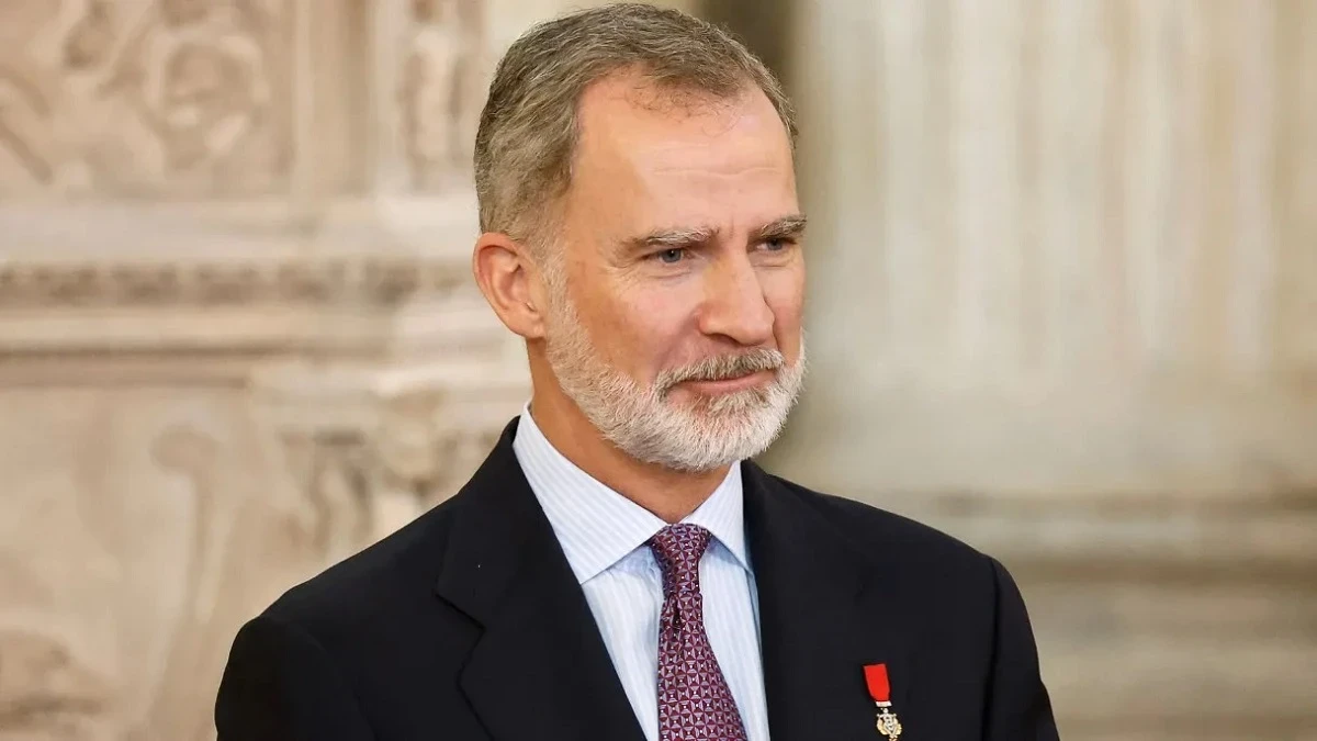 Regele Felipe al VI-lea al Spaniei, imagine de arhivă