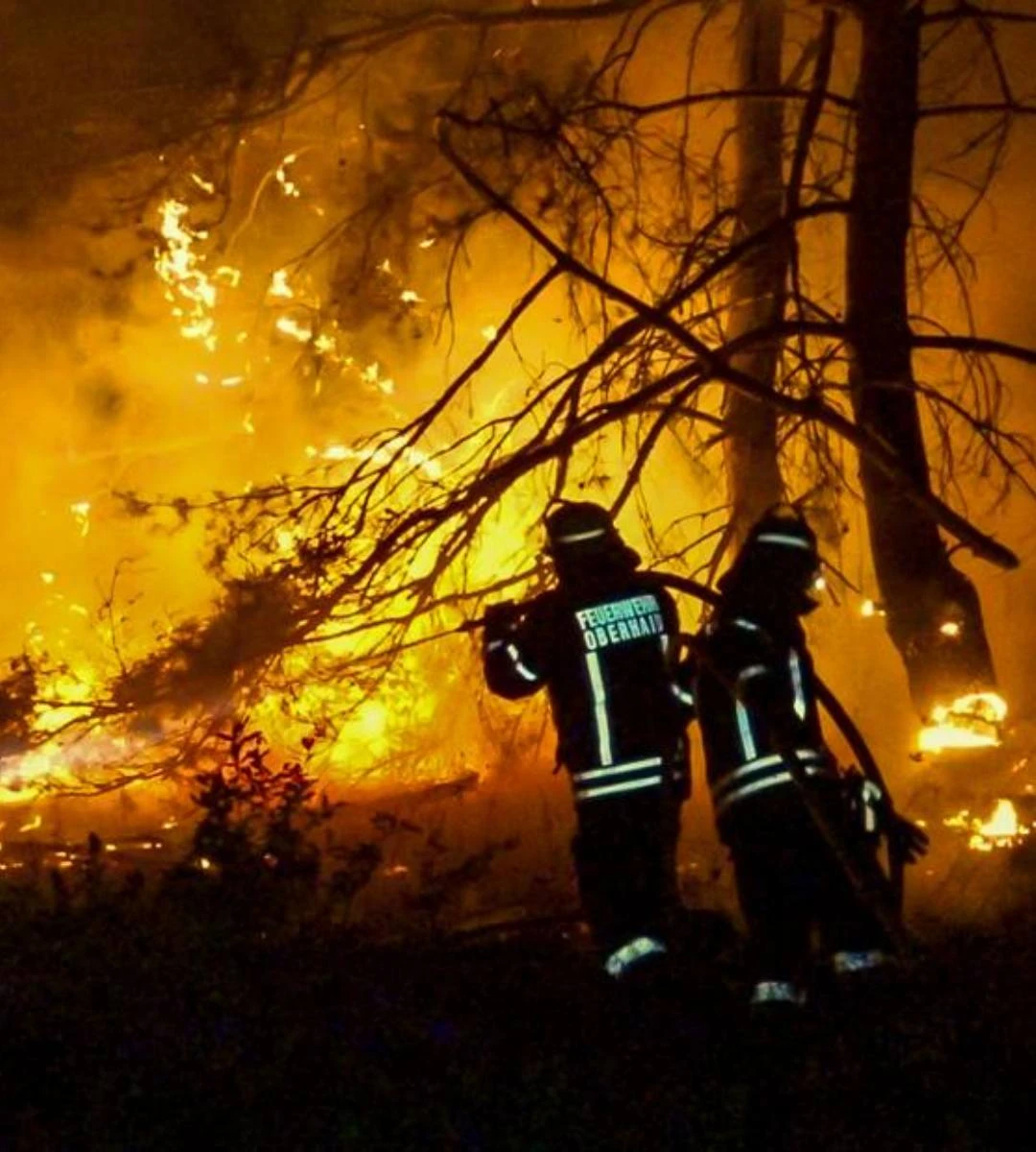 incendiu pădure spania