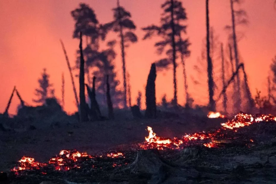 incendiu pădure spania. În imagine, pădure în flăcări