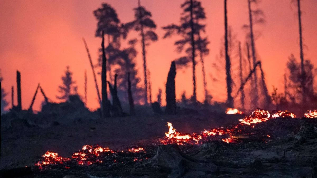 incendiu pădure spania. În imagine, pădure în flăcări