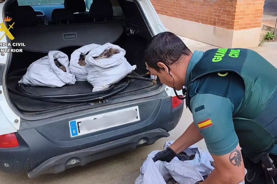 Patru români, opriți în trafic în Spania